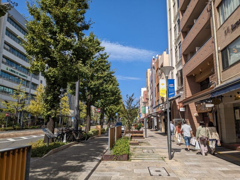 松山市花園通り