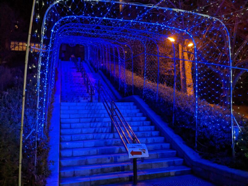 えひめこどもの城 ナイトファンタジー2022