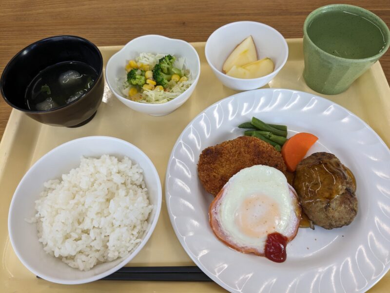 愛媛新聞社 社員食堂「デブ猫ちゃん食堂」