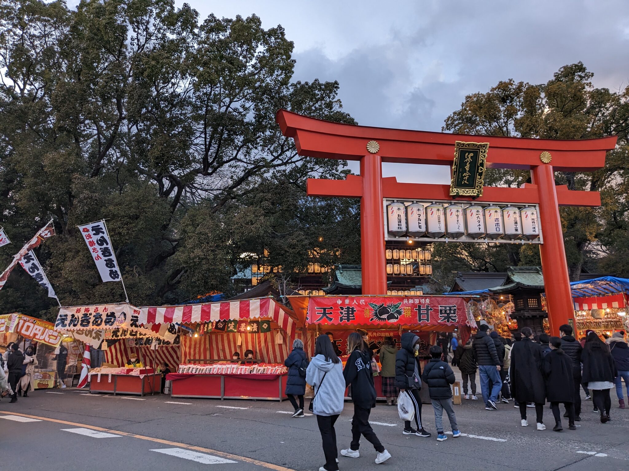 【松山市】椿まつり2026は2月23日~25日開催!日程・駐車場・アクセス・見どころまとめ | 街楽松山