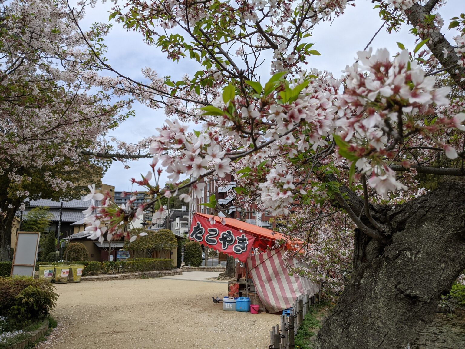 道後公園