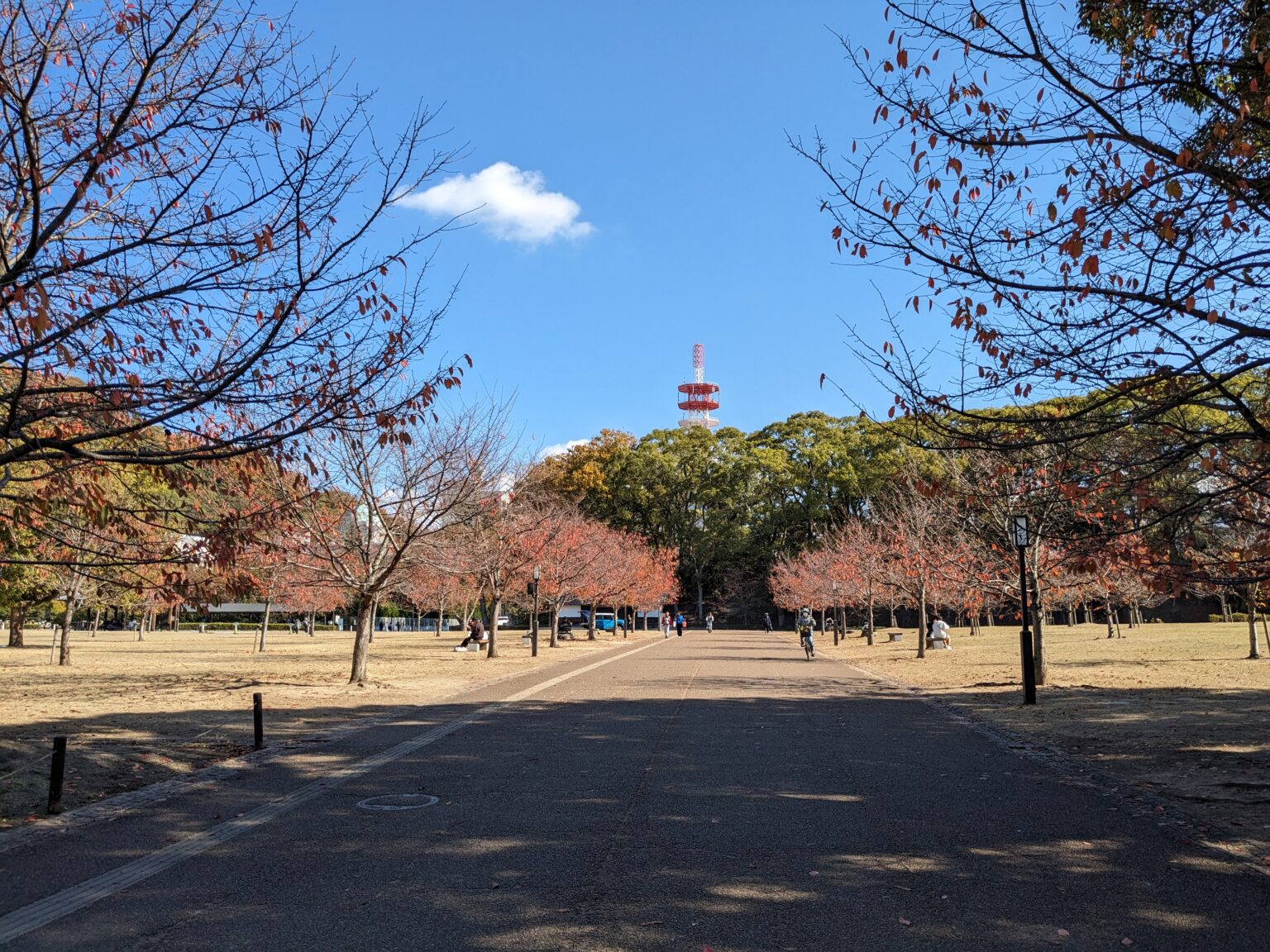 城山公園