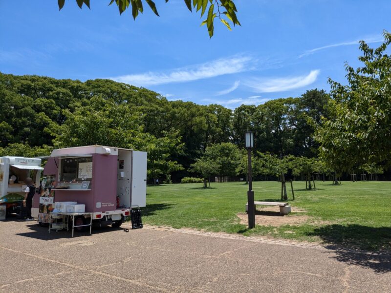 松山市 城山公園