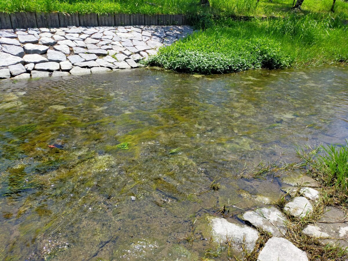福徳泉公園|愛媛県伊予郡松前町