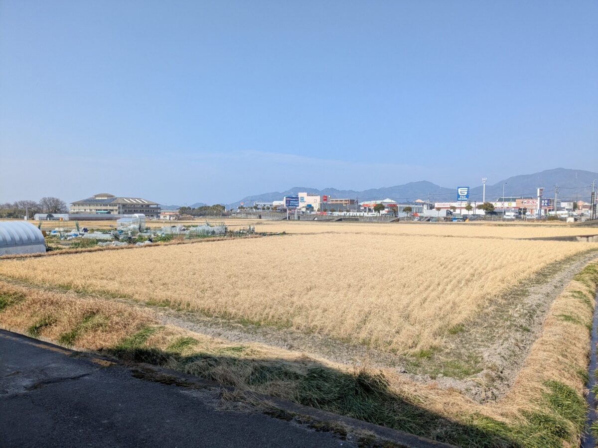 コストコ東温倉庫店|愛媛県東温市