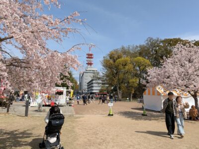 城山公園（堀之内）｜愛媛県松山市