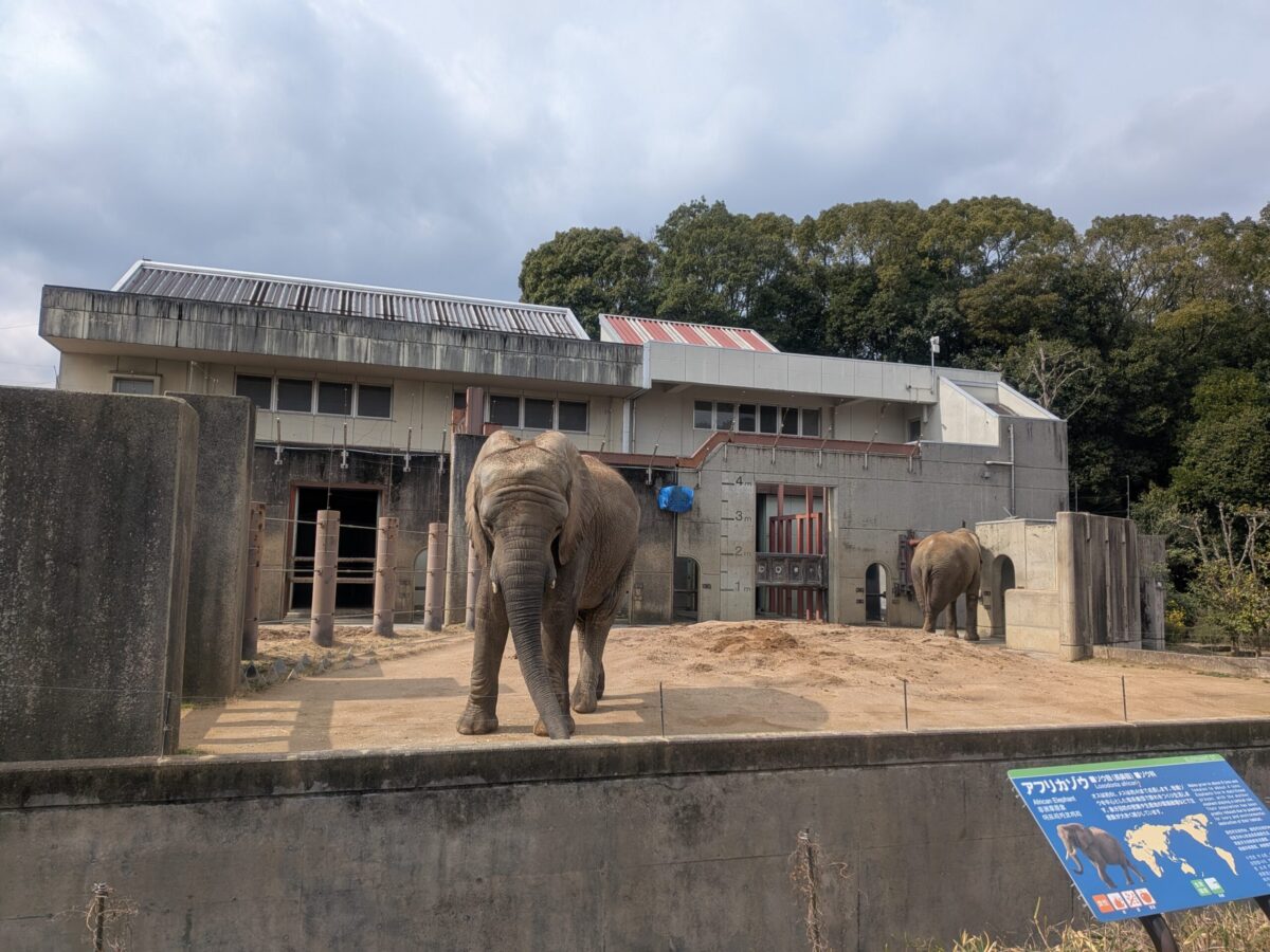 愛媛県立とべ動物園｜愛媛県伊予郡砥部町