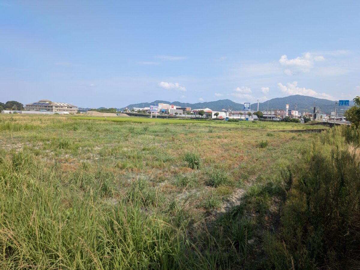 コストコホールセール東温倉庫店｜工事進捗状況｜愛媛県東温市